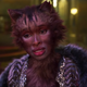 Image for article titled Which of the Cats in Cats Deserved to Die?